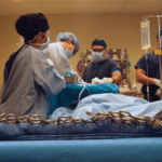 state of art sim center