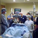 Anesthesia Crisis Resource